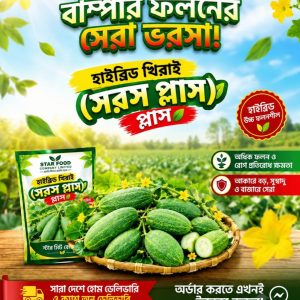 হাইব্রিড খিরাই সরস প্লাস 50gm